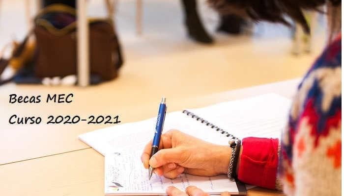 Convocatoria 2020/21 de AYUDAS PARA ALUMNADO CON NECESIDADES ESPECÍFICAS DE APOYO EDUCATIVO